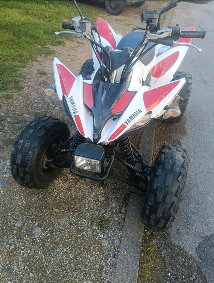 Yamaha Raptor Quad 250 2012 — вигляд ззаду