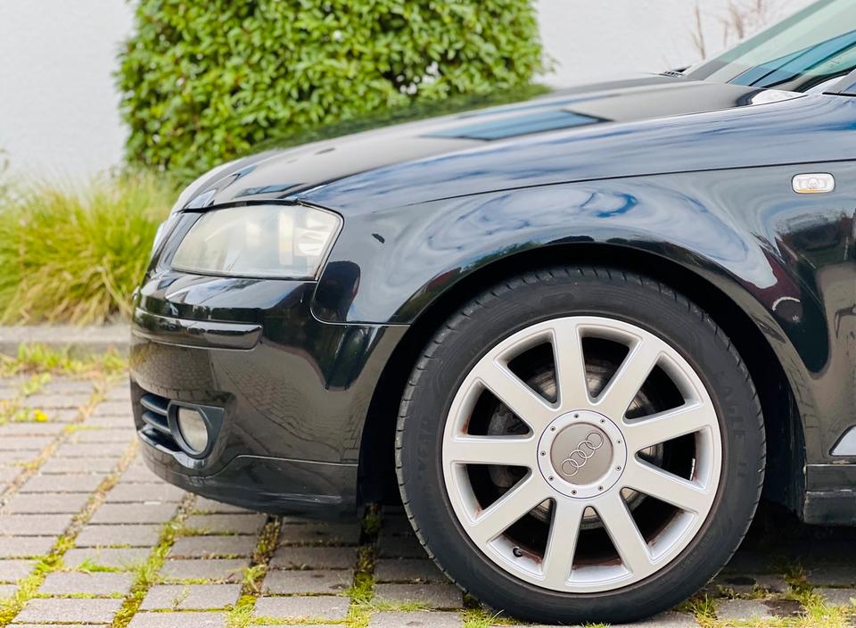 Audi A3 2006 — вигляд ззаду