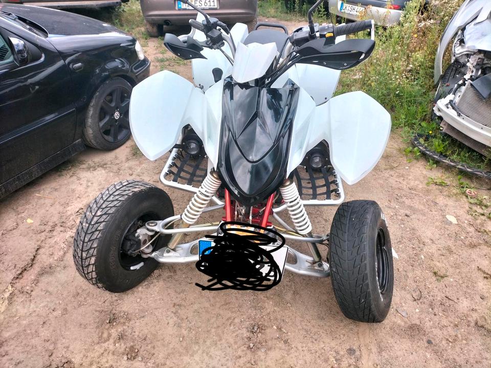  Triton baja 400 Quad Festpreis 2011 — interior