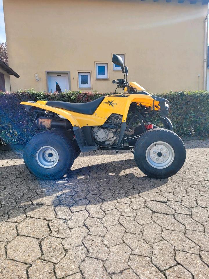 Weitere Motorräder Adly ATV-300 2007 — rear view
