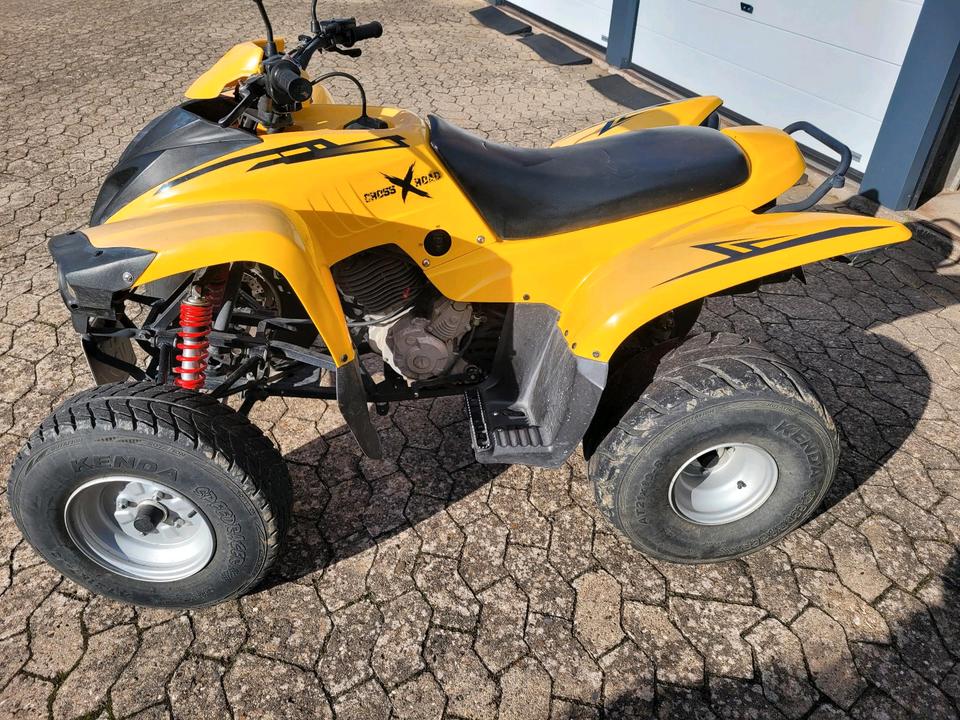 Weitere Motorräder Adly ATV-300 2007 — engine 282 ccm