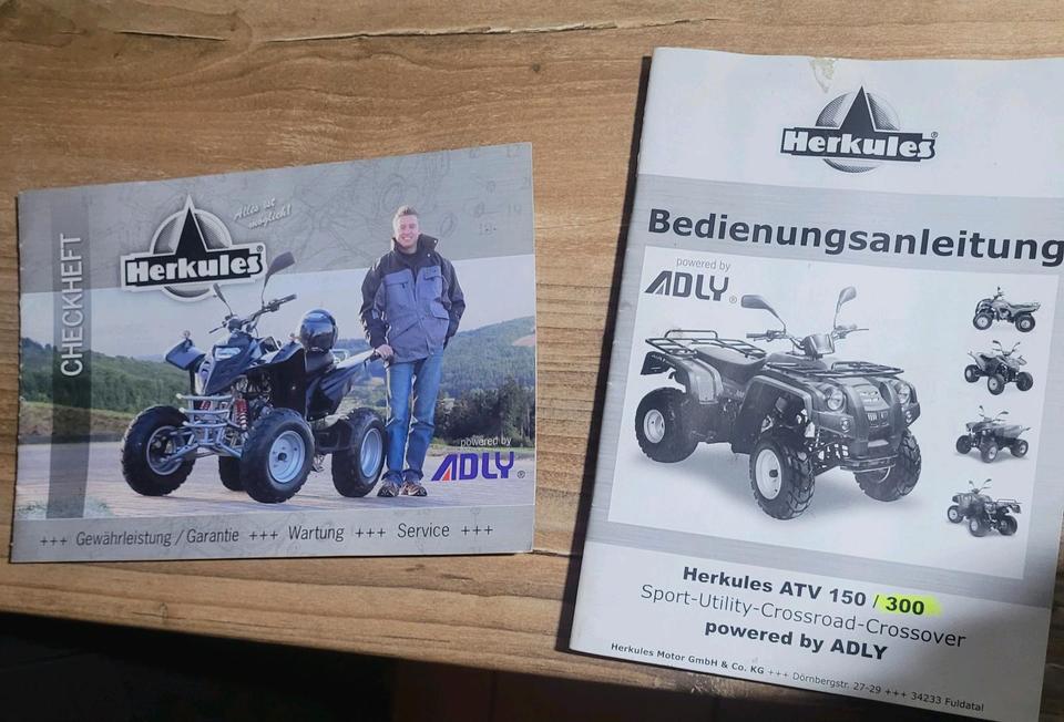 Weitere Motorräder Adly ATV-300 2007 — photo 6