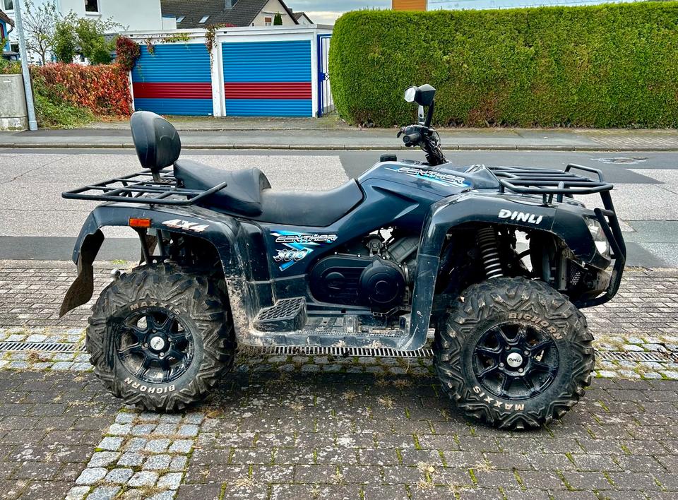 Quad ATV 4x4 Dinli Centhor 800L 2012 — авто для ЗСУ з Європи