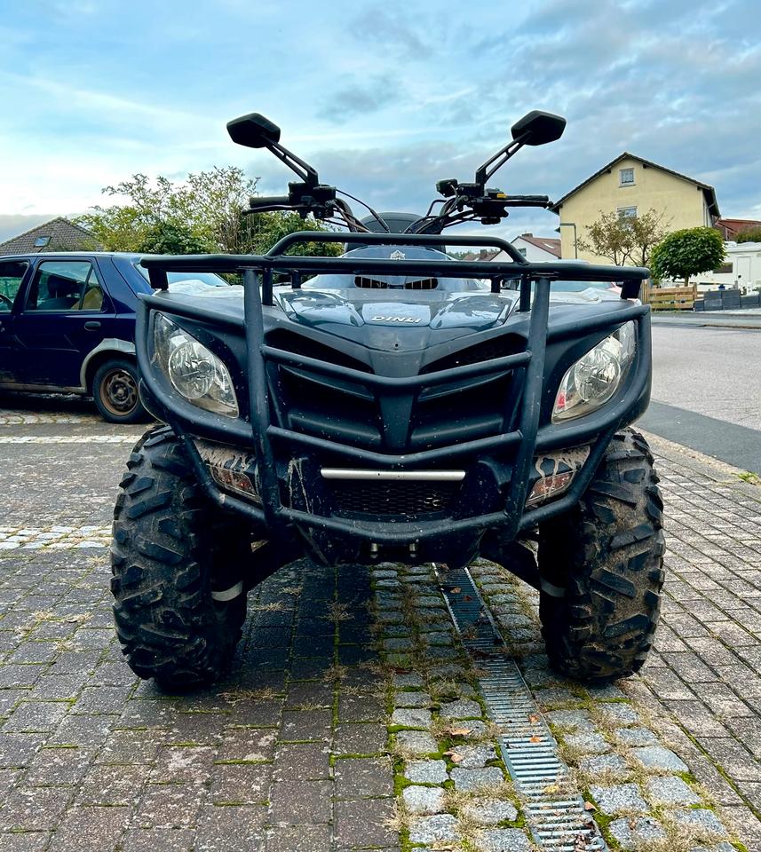  Quad ATV 4x4 Dinli Centhor 800L 2012 — вигляд ззаду