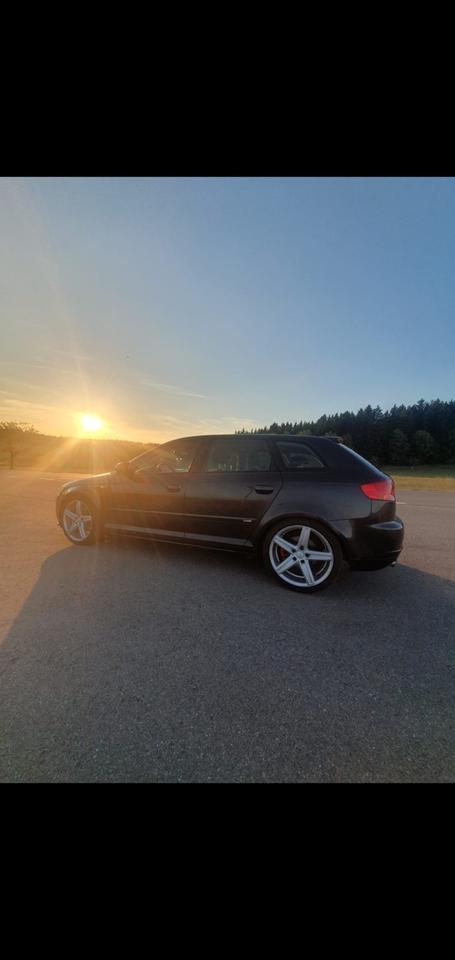 Audi A3 2006 — rear view