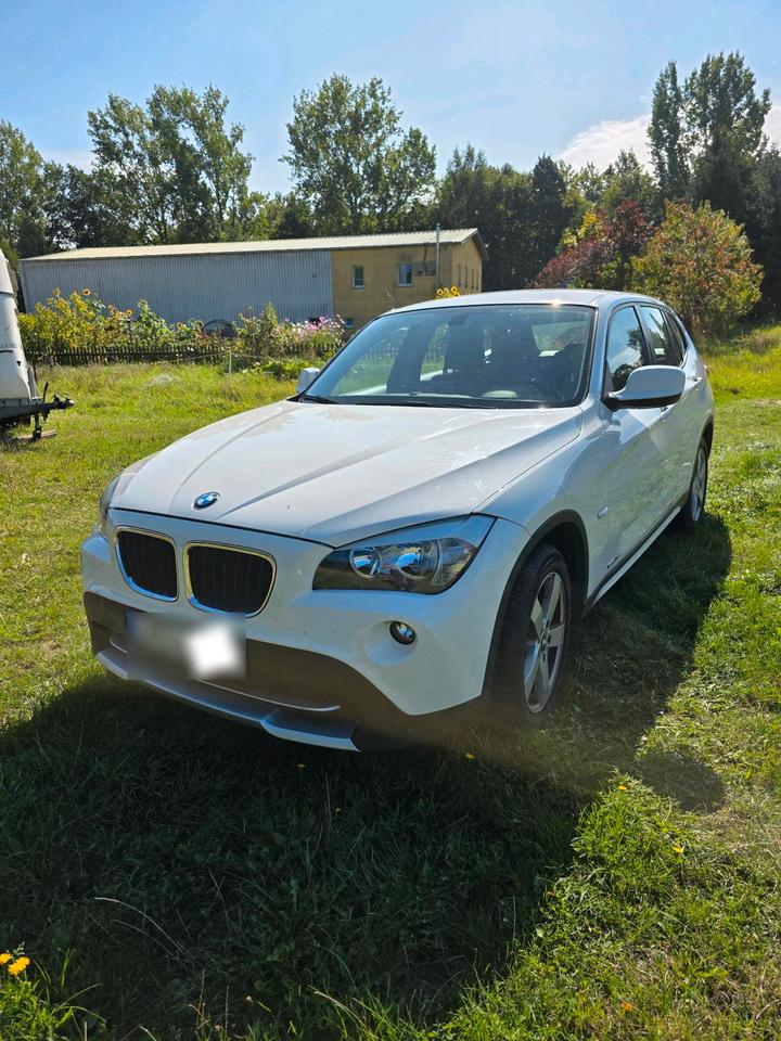 BMW X1 2011 — rear view
