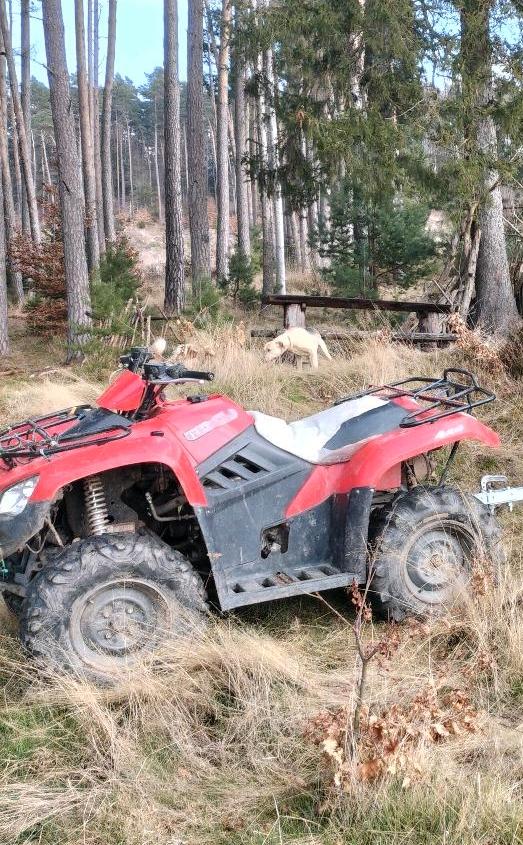 Kymco MXU 400 Teileträger 2014 — rear view