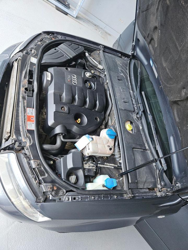 Audi A4 2004 — photo 13