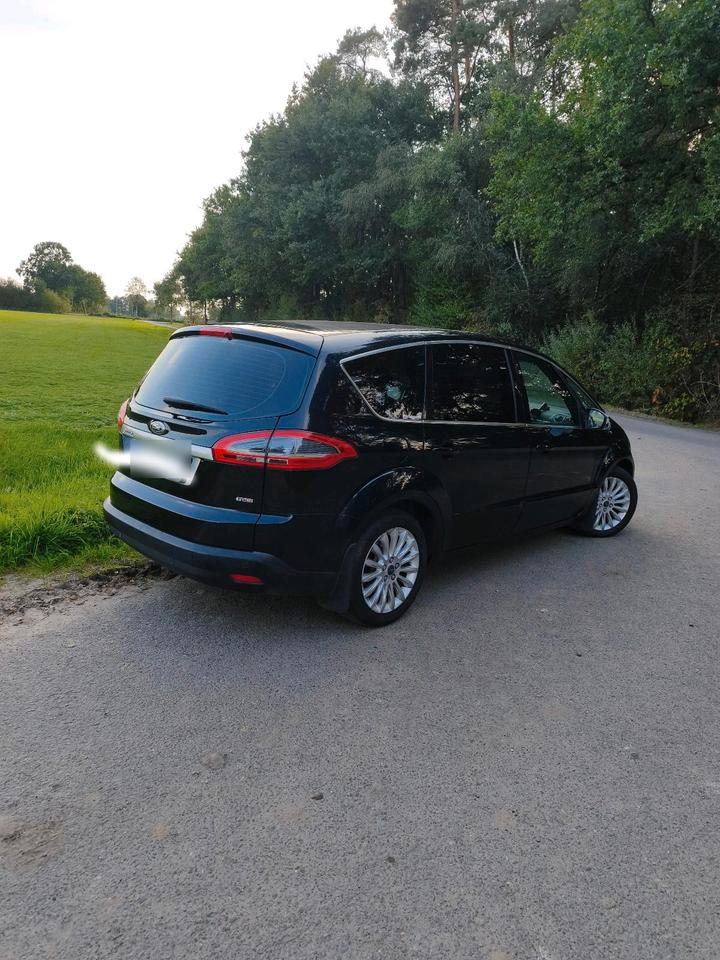 Ford S-Max 2011 — engine