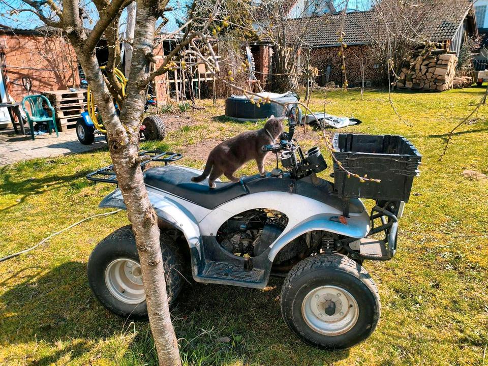 Weitere Motorräder E-ton EXL - 150 Yukon ST Quad 150 ccm - Bastlerfahrzeug - Ersatz, 2004