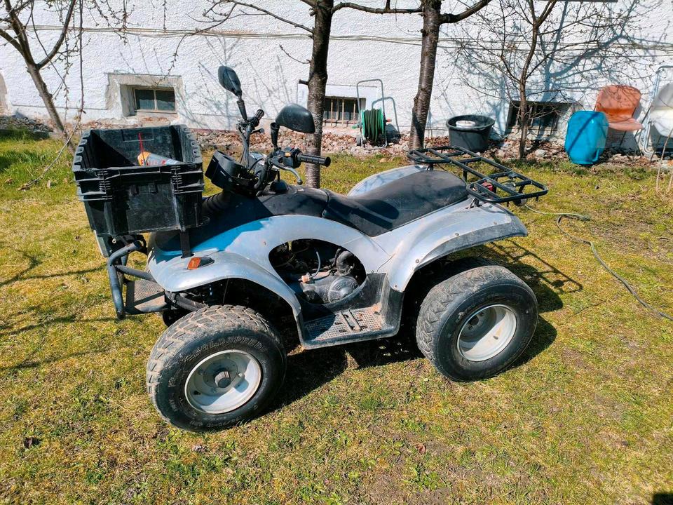 Weitere Motorräder E-ton EXL - 150 Yukon ST Quad 150 ccm - Bastlerfahrzeug - Ersatz 2004 — rear view