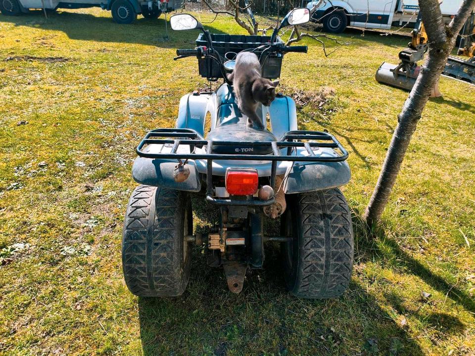 Weitere Motorräder E-ton EXL - 150 Yukon ST Quad 150 ccm - Bastlerfahrzeug - Ersatz 2004 — photo 9