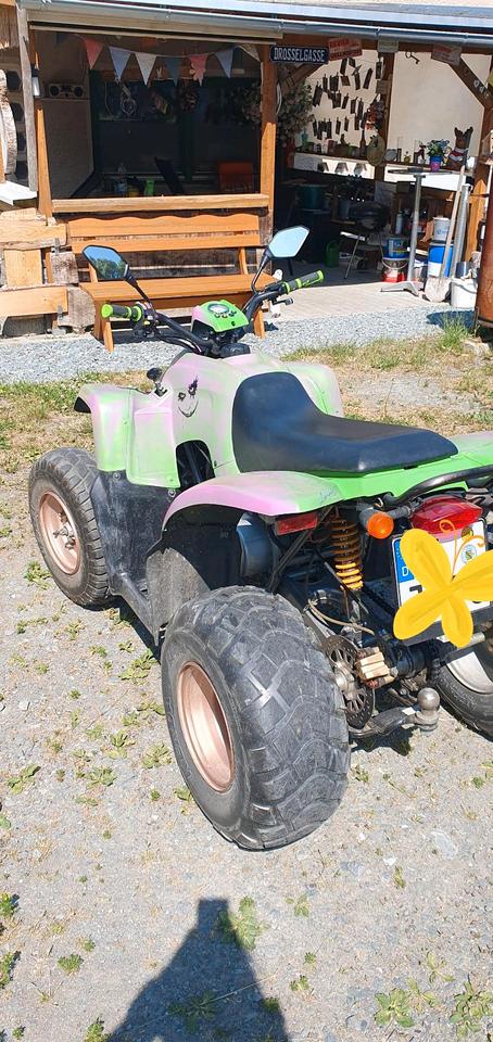  ATV Quad HENRY KUO 2010 — rear view