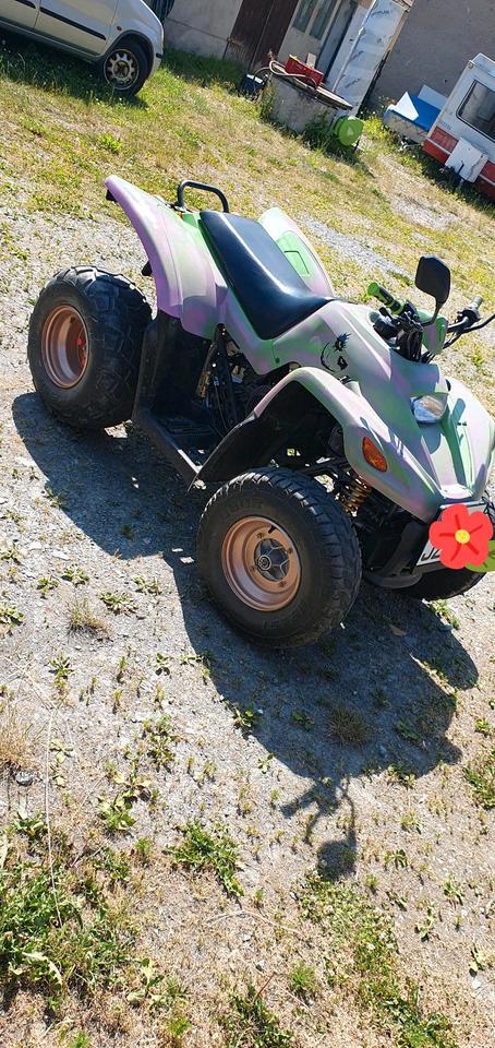  ATV Quad HENRY KUO 2010 — photo 7