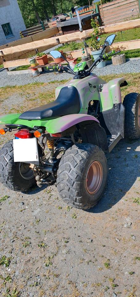  ATV Quad HENRY KUO 2010 — photo 8