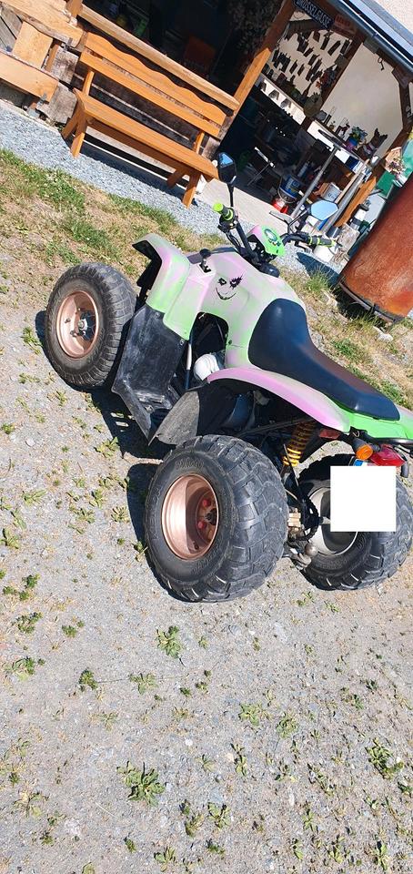 ATV Quad HENRY KUO 2010 — photo 9