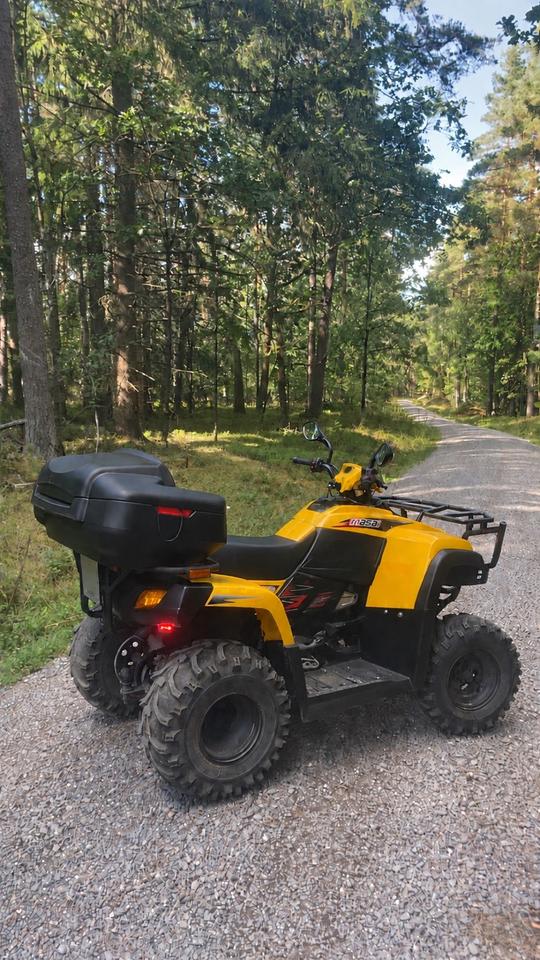  Reserviert •Quad zu verkaufen – gepflegtes Garagenfahrzeug 2014 — rear view