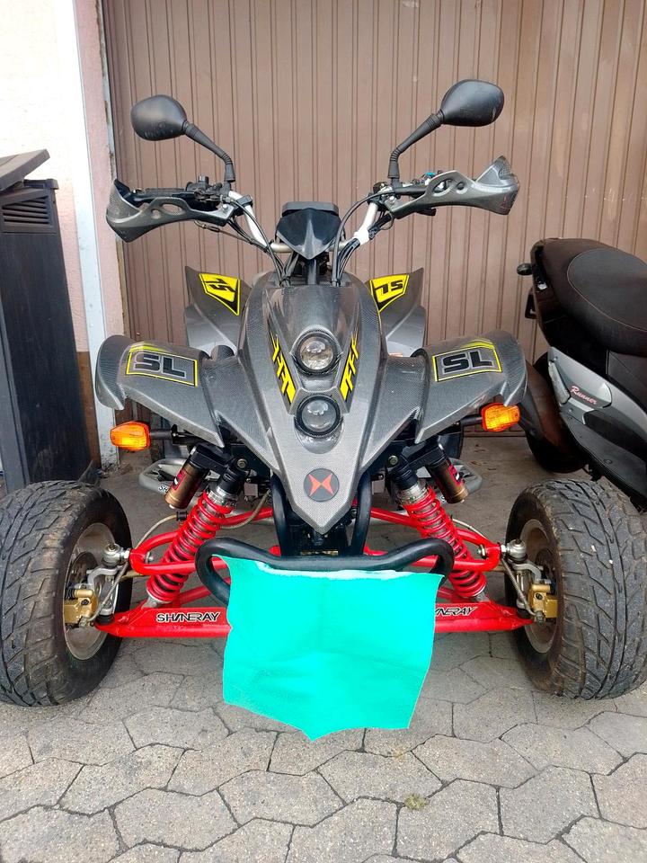 shineray lanvertti 250 2009 — vehicle for AFU Ukraine