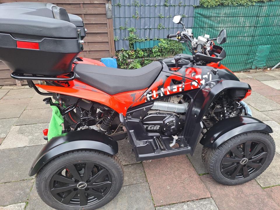 Weitere Motorräder Quad TGB Gunner 550 mit LOV Zulassung 2011 — rear view