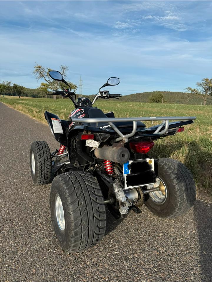 Kymco Maxxer 300 Quad wenig Km 300ccm 2010 — engine 300 ccm