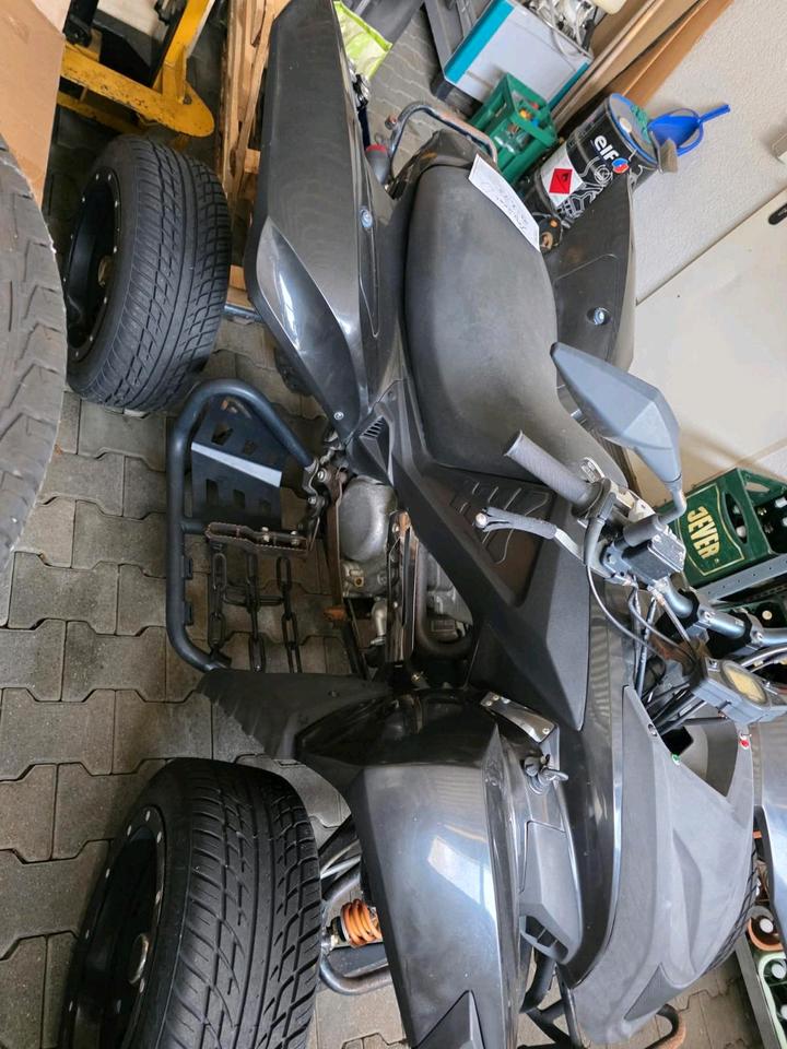 Weitere Motorräder ADLY ATV 500S – LOF 2010 — rear view