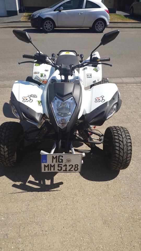 Weitere Motorräder Beeline Bestia 5.5 – 500 ccm – 50 PS 2013 — rear view