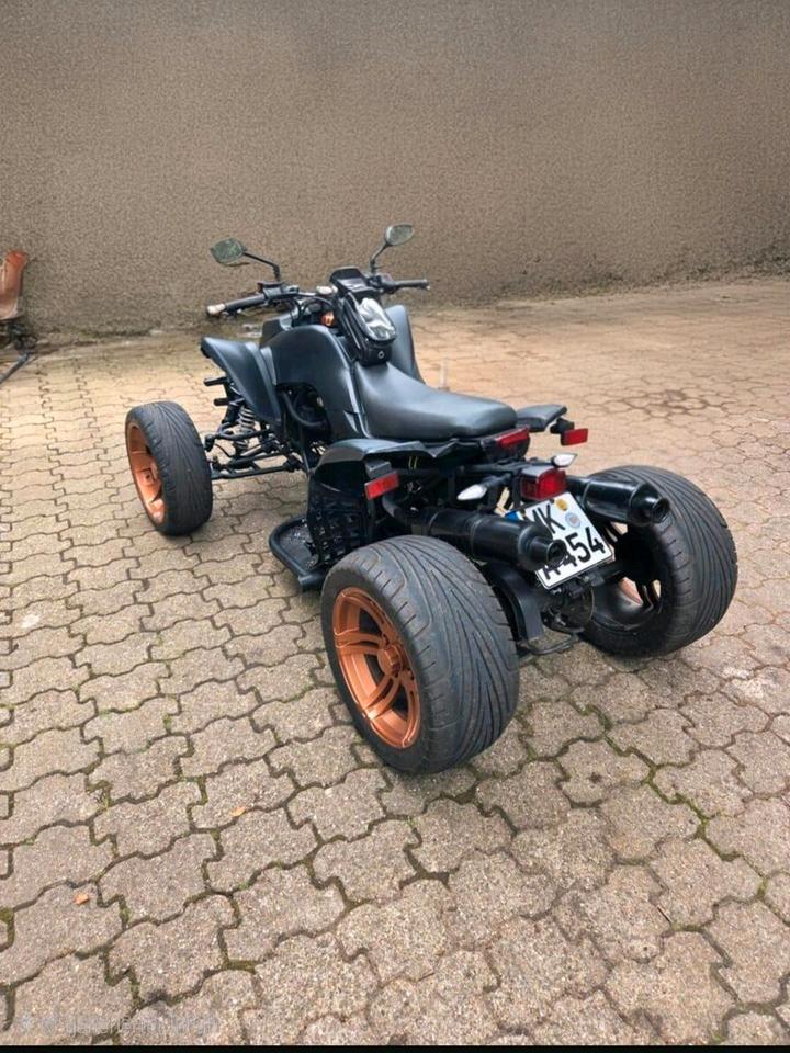 Weitere Motorräder Quad 250ccm 2010 — rear view