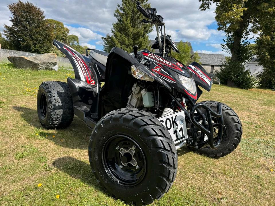  Gelöscht • AEON Cobra 400 Quad | TÜV 05/2028 | 7.386 km | gepflegt 2014 — photo 11