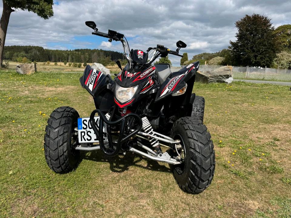  Gelöscht • AEON Cobra 400 Quad | TÜV 05/2028 | 7.386 km | gepflegt 2014 — rear view