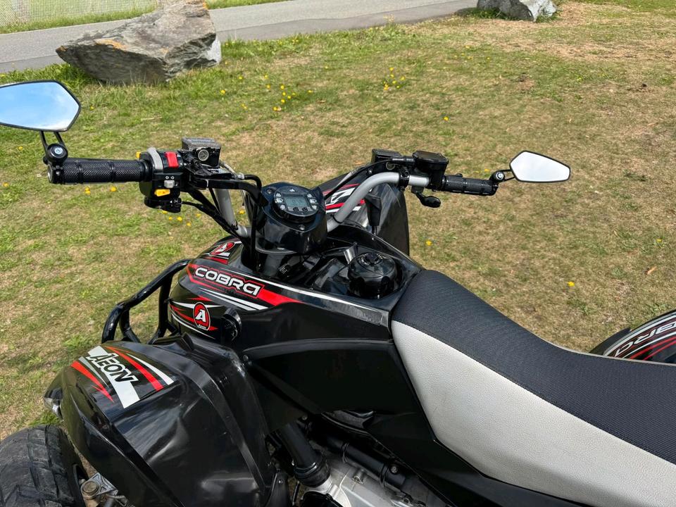  Gelöscht • AEON Cobra 400 Quad | TÜV 05/2028 | 7.386 km | gepflegt 2014 — photo 6
