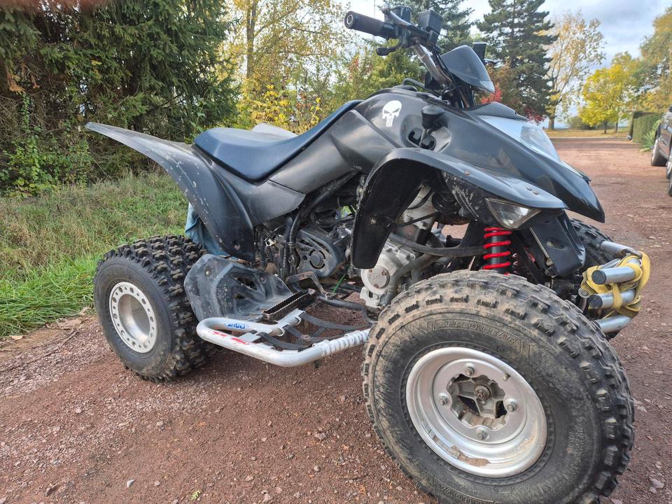 Kymco Quad Kymco KXR 250 2004 — rear view