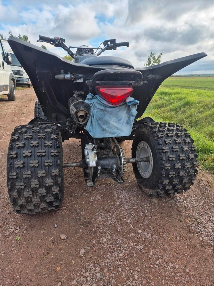 Kymco Quad Kymco KXR 250 2004 — engine 250 ccm