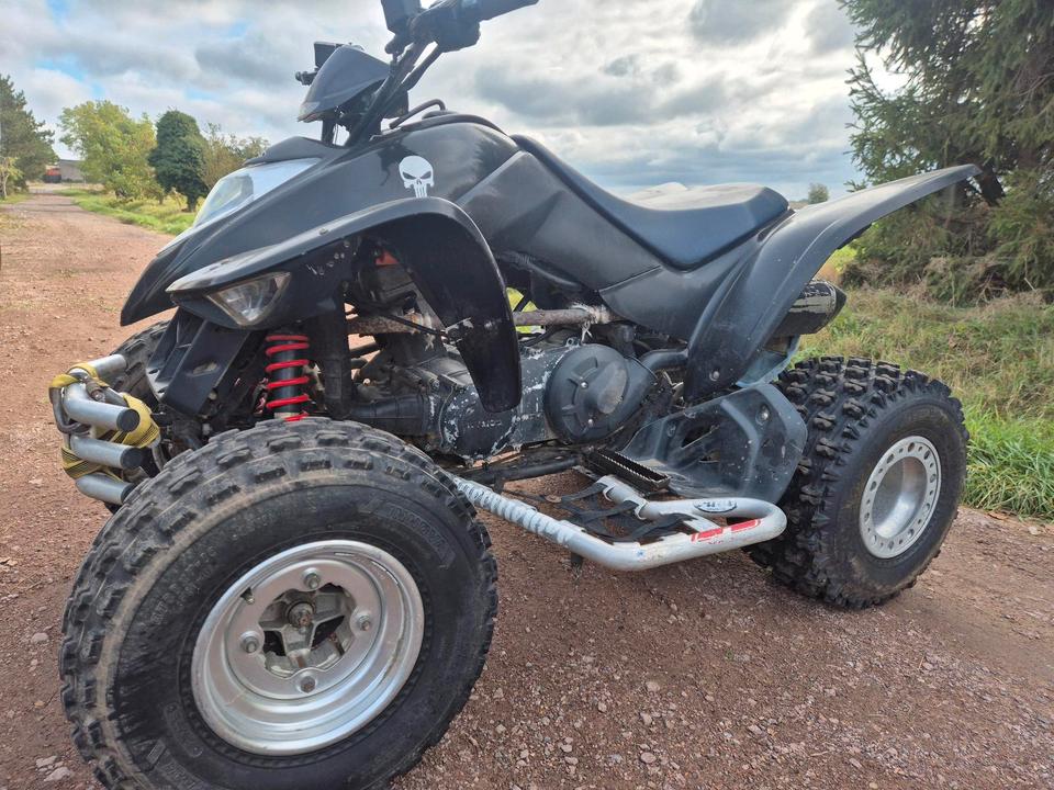 Kymco Quad Kymco KXR 250 2004 — photo 5