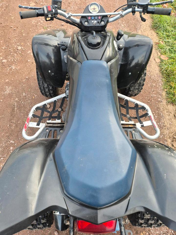 Kymco Quad Kymco KXR 250 2004 — photo 6