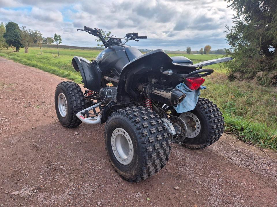 Kymco Quad Kymco KXR 250 2004 — photo 7
