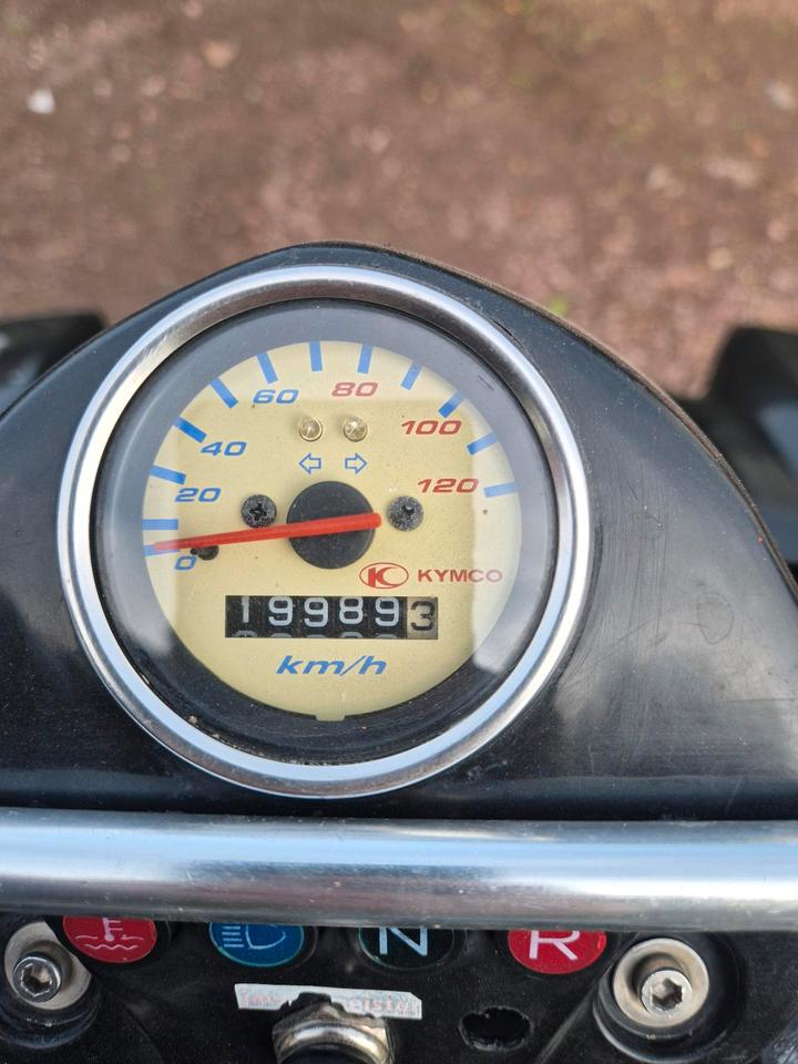 Kymco Quad Kymco KXR 250 2004 — photo 8