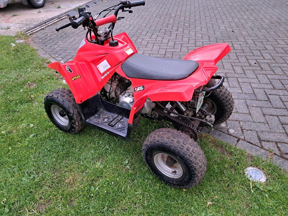  Gelöscht • Quad Kinderquad 2009 — engine 110 ccm