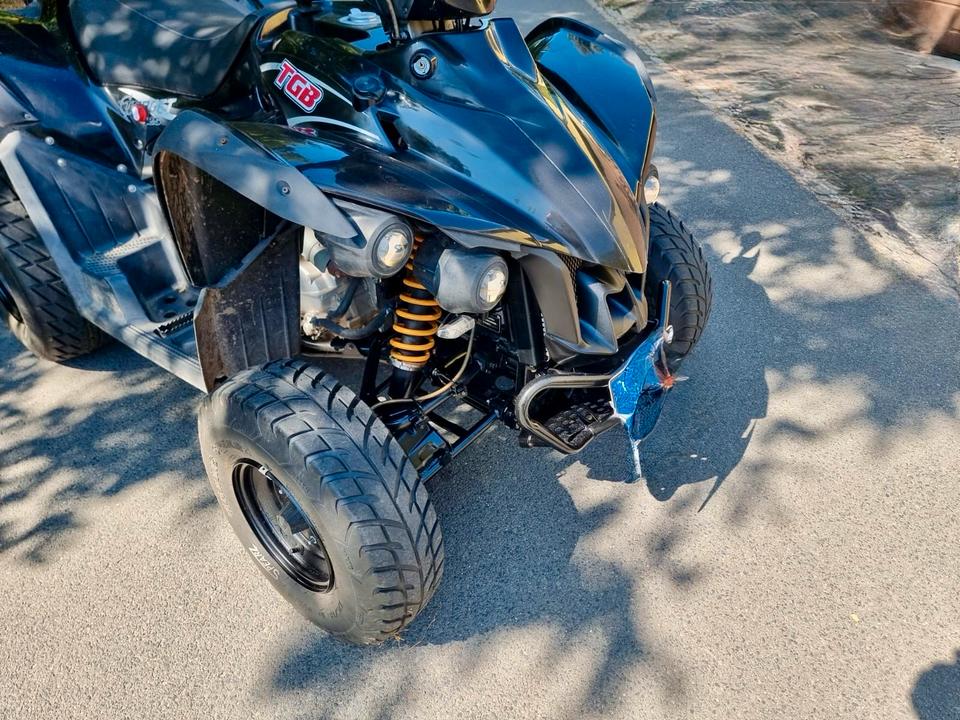 Weitere Motorräder Quad TGB Target 325 2014 — rear view