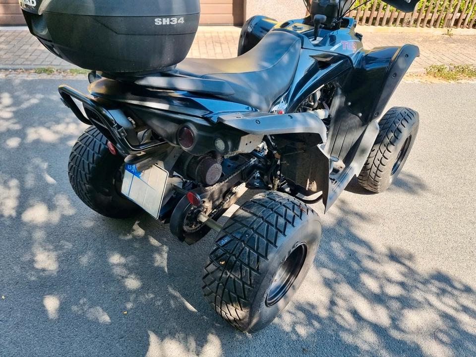 Weitere Motorräder Quad TGB Target 325 2014 — photo 5