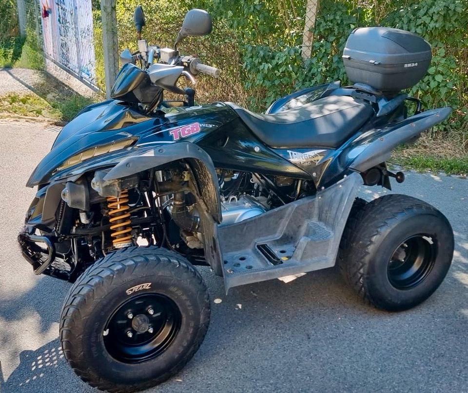Weitere Motorräder Quad TGB Target 325 2014 — photo 7