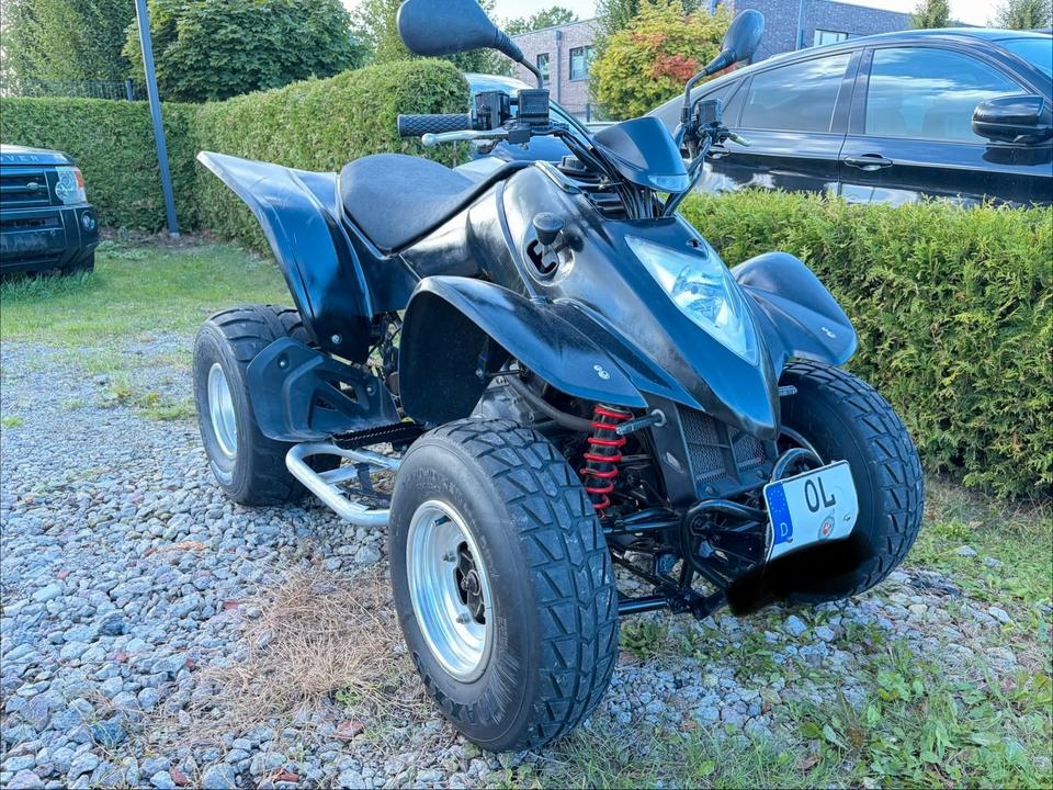 Kymco Gelöscht • Kymco KXR 250 / Tüv 08.2027/17tkm- Historie 2004 — вигляд ззаду