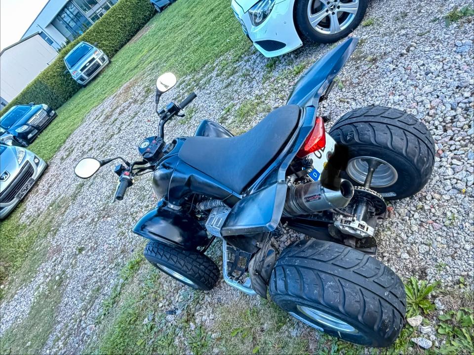 Kymco Gelöscht • Kymco KXR 250 / Tüv 08.2027/17tkm- Historie 2004 — фото 6