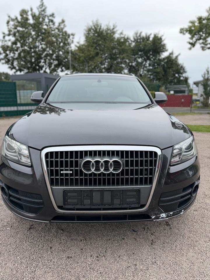 Audi Q5 2010 — rear view