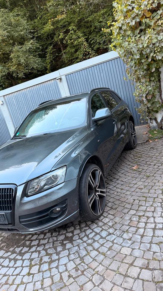 Audi Q5 2009 — rear view