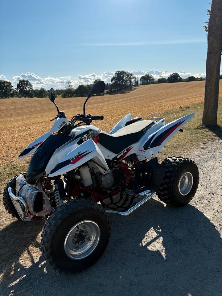 Weitere Motorräder Quad Triton Access SP450-S 2012 — interior