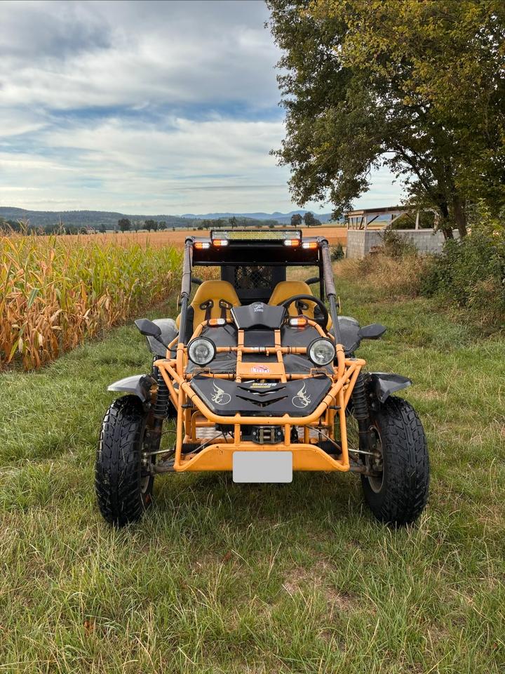 Gelöscht • Buggy 650ccm Saiting 650 2010 — vehicle for AFU Ukraine