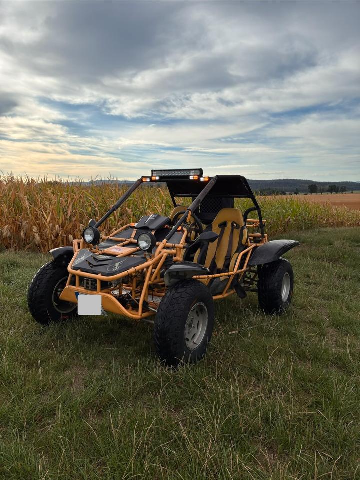  Gelöscht • Buggy 650ccm Saiting 650 2010 — rear view
