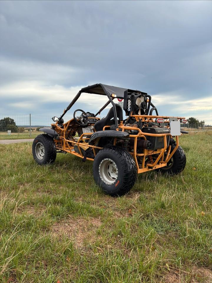  Gelöscht • Buggy 650ccm Saiting 650 2010 — engine 650 ccm