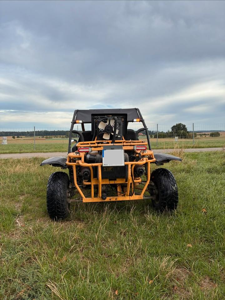  Gelöscht • Buggy 650ccm Saiting 650 2010 — photo 5
