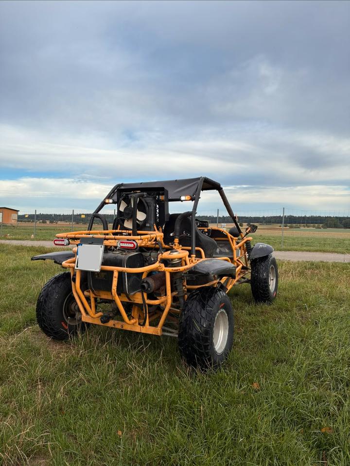  Gelöscht • Buggy 650ccm Saiting 650 2010 — photo 6